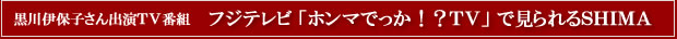 黒川伊保子さん出演TV番組　フジテレビ「ホンマでっか！？TV」で見られるSHIMA